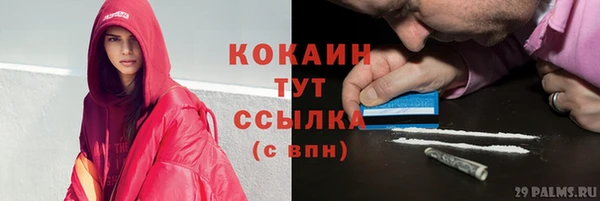 крисы Дмитриев