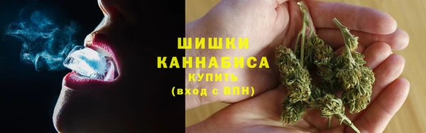 крисы Дмитриев