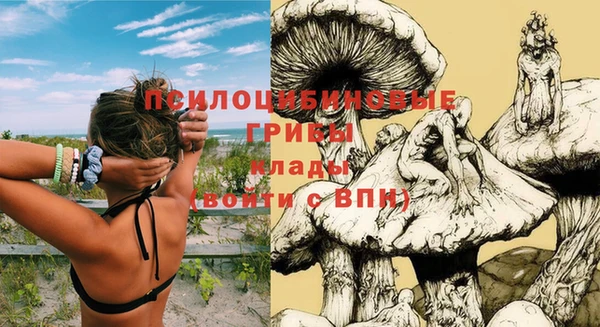герыч Дмитров