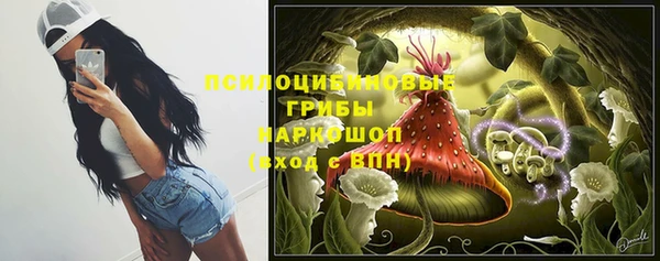 PSILOCYBIN Елизово